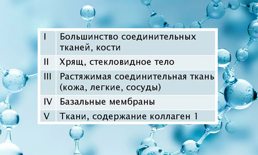 кожа коллаген типы